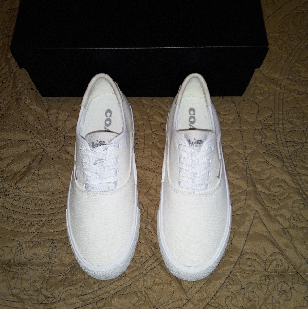 Coach CitySole Skate Sneakers - Picture 3 of 14